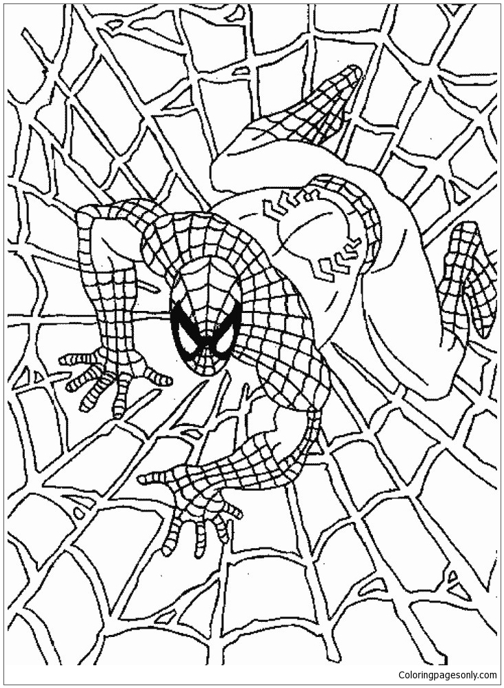 الرجل العنكبوت الرائع من Spider-Man: No Way Home