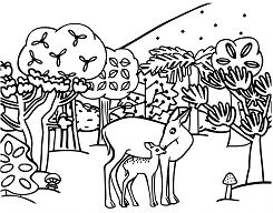 Woodland Animals Coloring Page