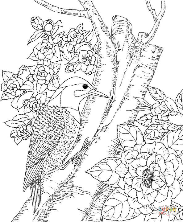 Йеллохаммер и камелия Птица и цветок штата Алабама из камелии