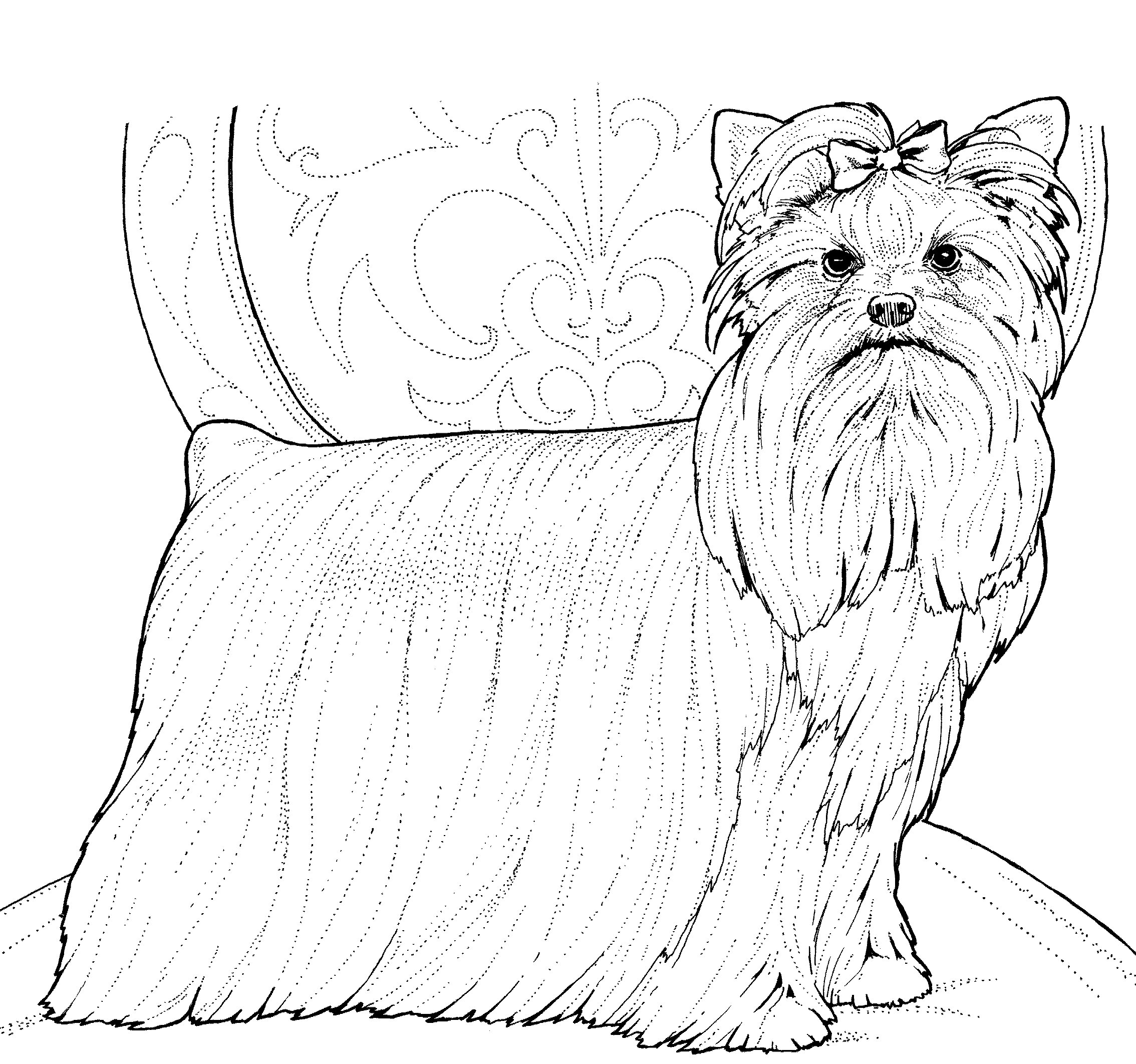 Yorkshire Terrier On Chair Coloring Pages