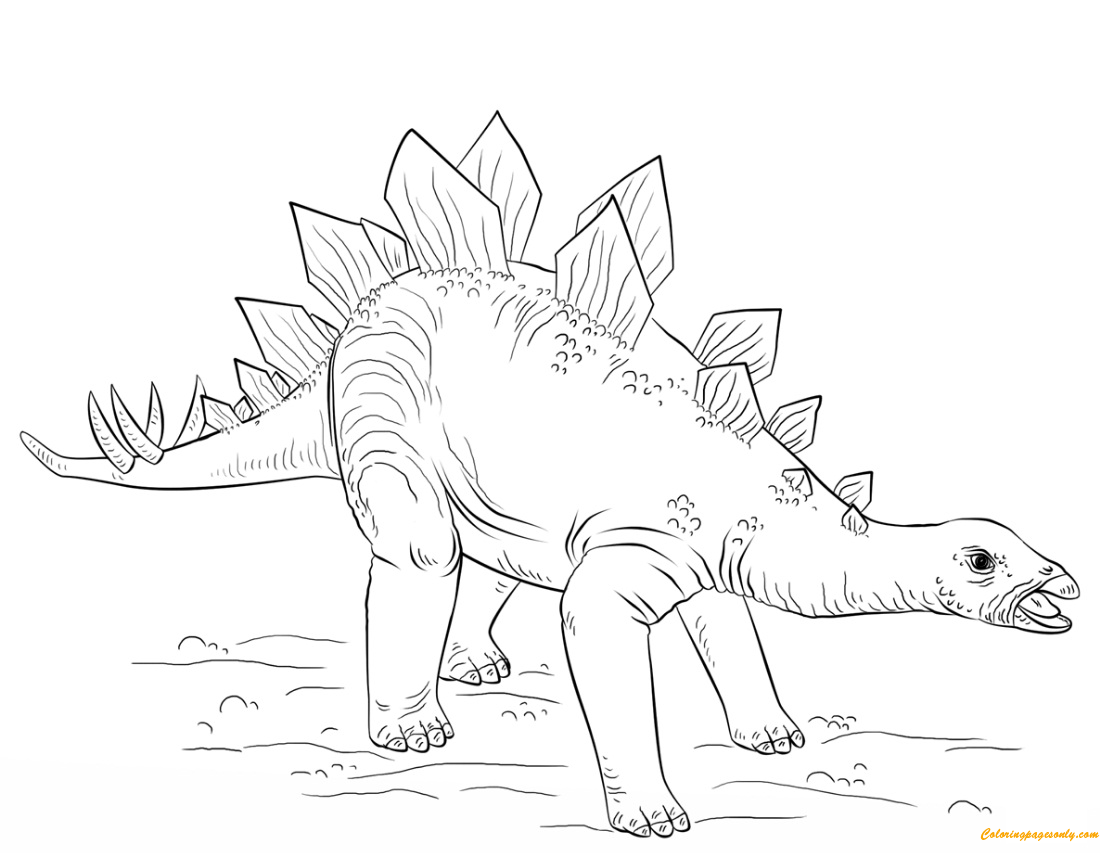 Young Stegosaurus From Dinosaur Coloring Page - Free Printable Coloring