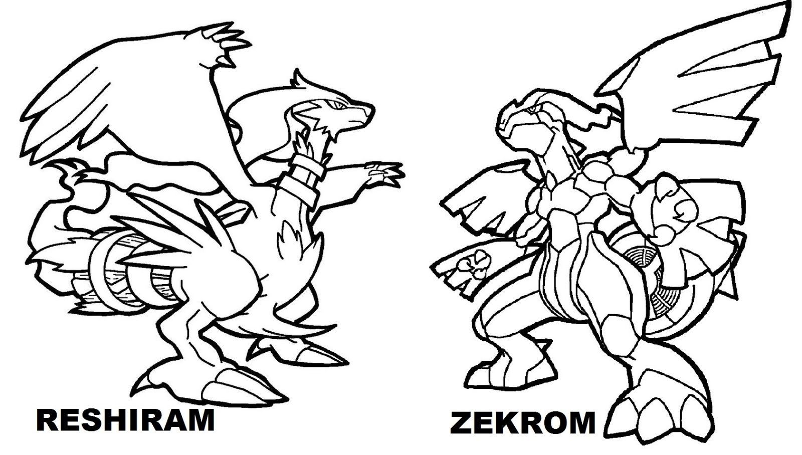 Zekrom en Reshiram van Dragon