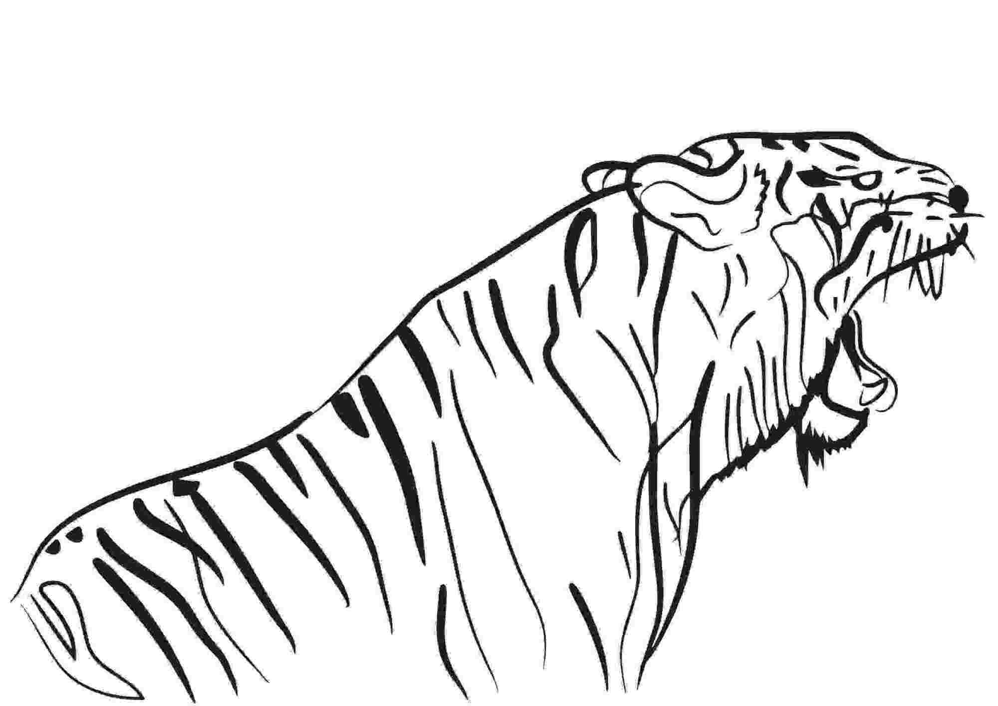 Bengal Tiger Is Regarded As The Strongest And Most Powerful Coloring Pages
