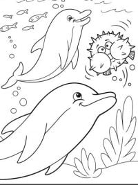 Happy Dolphins under the sea Coloring Page