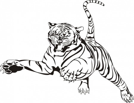Bengaalse tijger vangt de prooi van Tiger