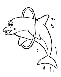 Dolphin jump through a circle Coloring Pages