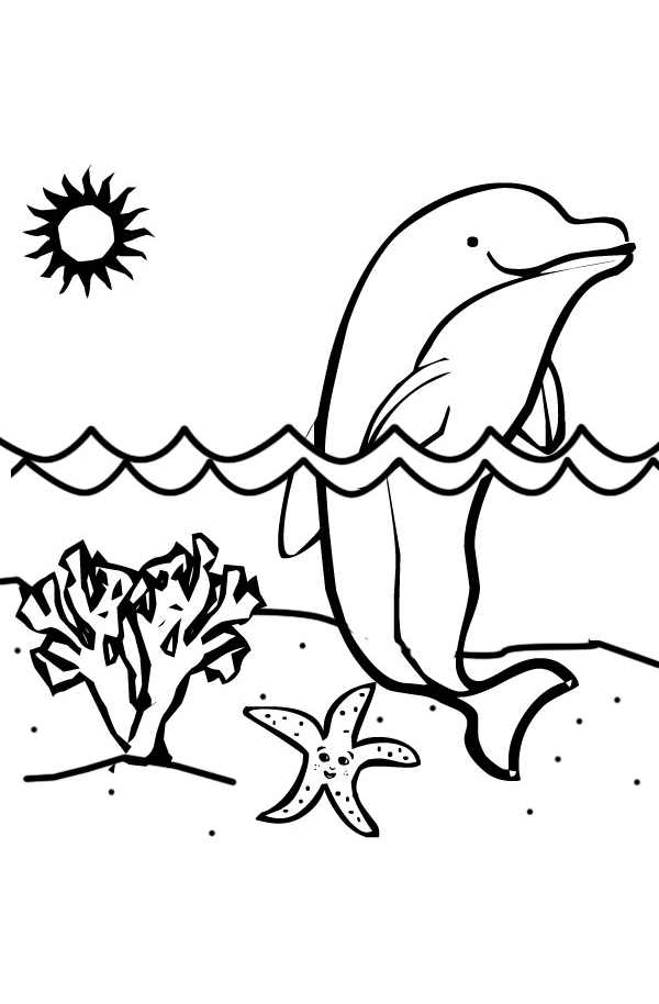 Dolfijn zwemt op zonnige dag vanuit Dolphin