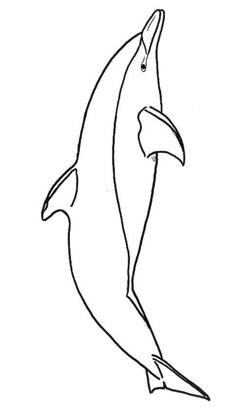 Drawing simple a big dolphin Coloring Page