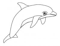 Dolfijn met grote ogen Kleurplaat