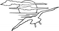 Seagull flies toward sundown Coloring Pages