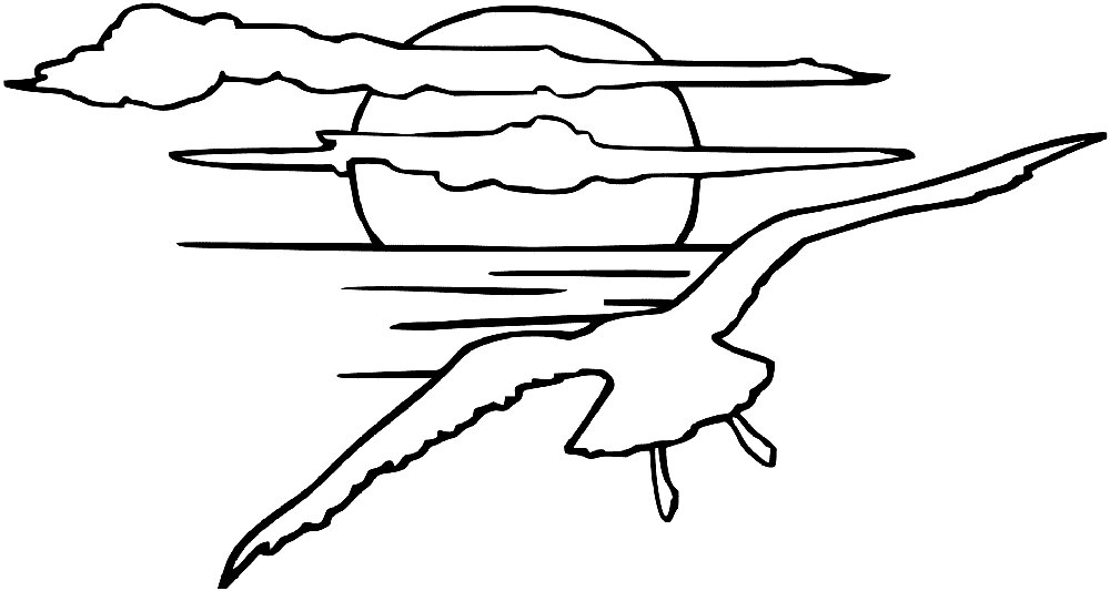 Seagull flies toward sundown Coloring Page
