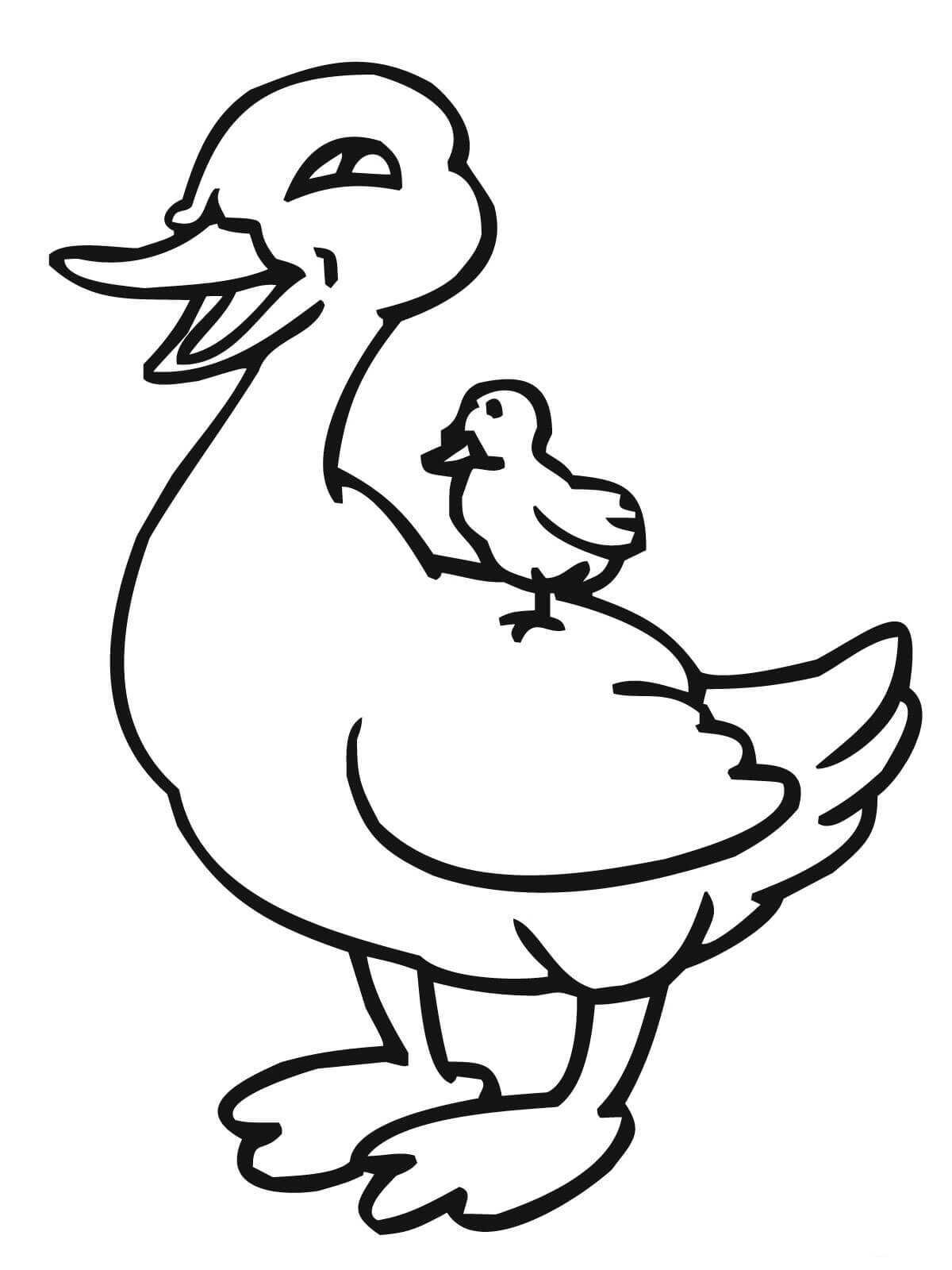 Baby Duckling Riding On Mother Duck Coloring Pages