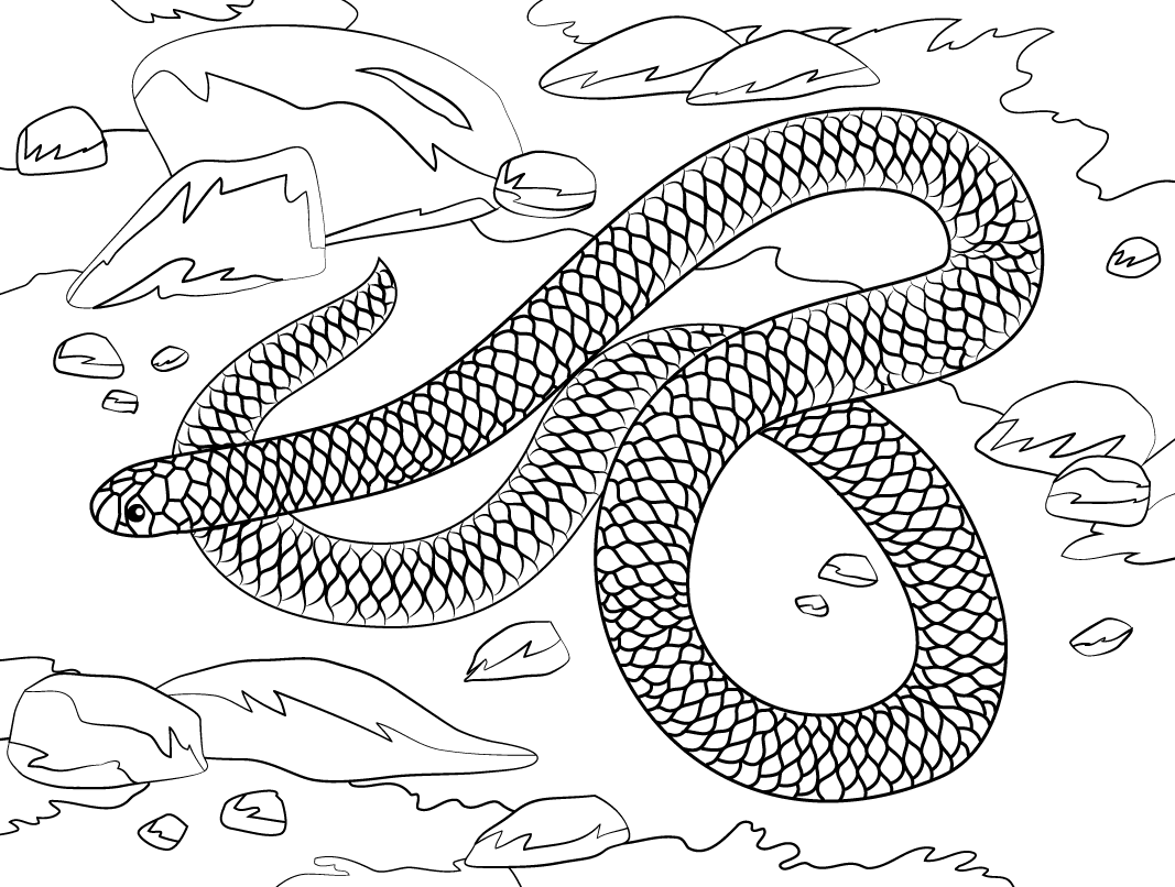 The snake named Barbados Threadsnake is curled up on the grass Coloring Pages