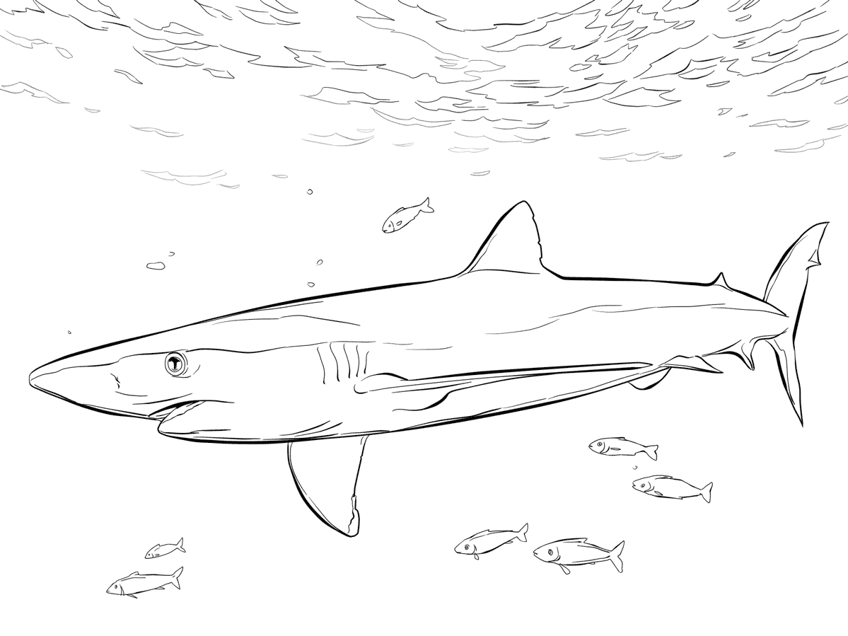 Blauwe haai met loodsvissen onder de zee Kleurplaat