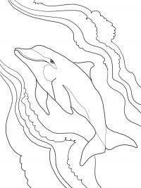 Dolphin swims along the water Coloring Pages