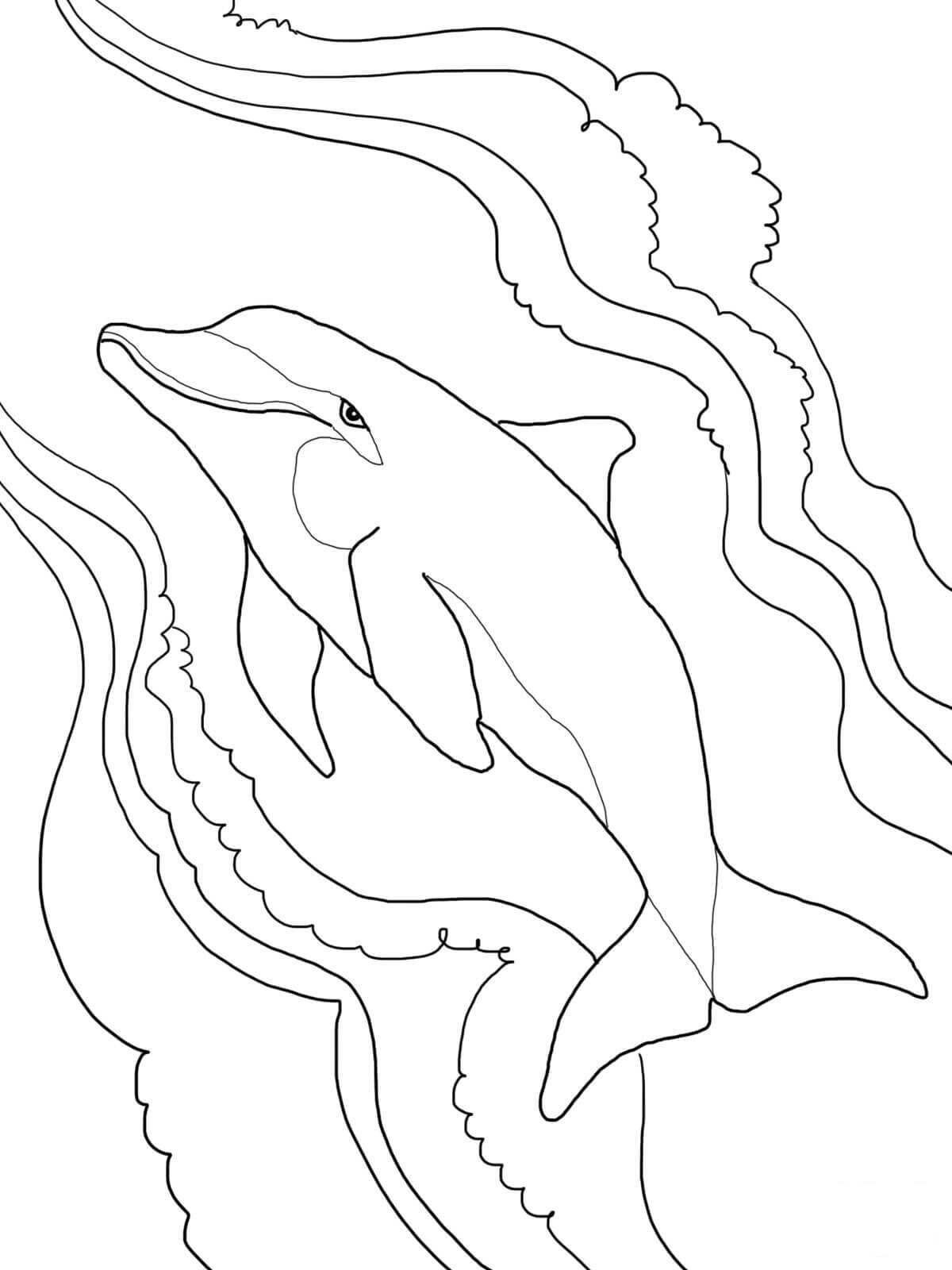 Dolphin Swims Along The Water Coloring Pages