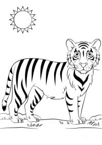Baby tiger walks around in the sun Coloring Page