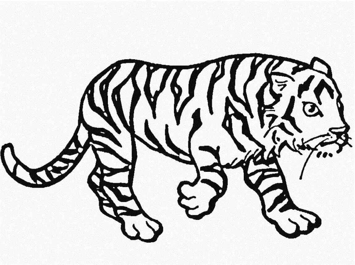 The tiger is walking alone Coloring Page