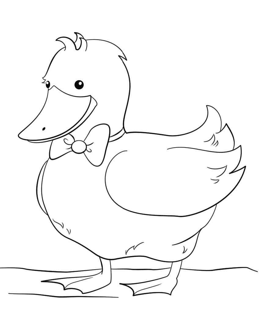 Cute cartoon duck wearing bow tie Coloring Page
