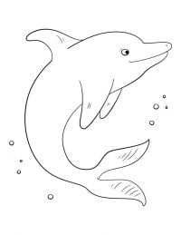 Cute dolphin under the sea Coloring Page