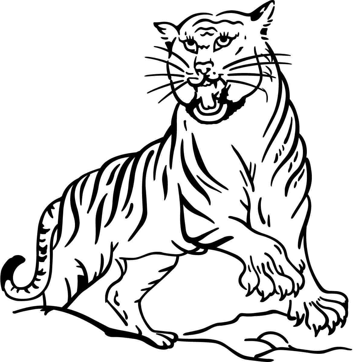 Глупый тигр рычит на выступе от Тигра.