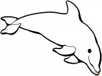 The dolphin dives under the sea Coloring Pages