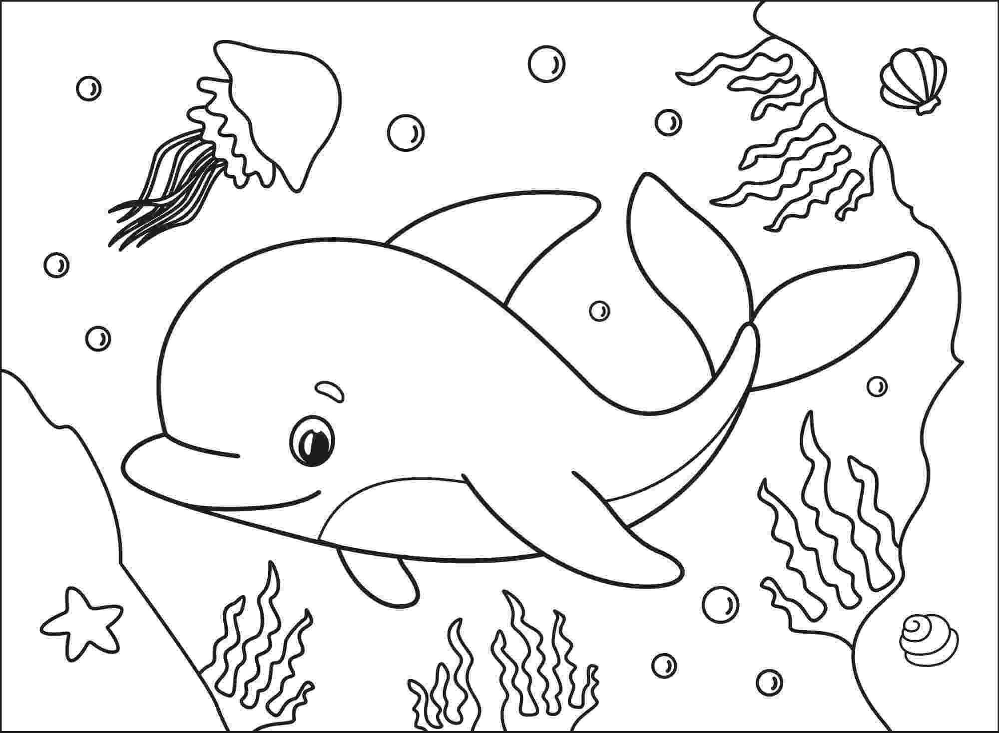 Cute dolphin with jellyfish and scallops Coloring Page