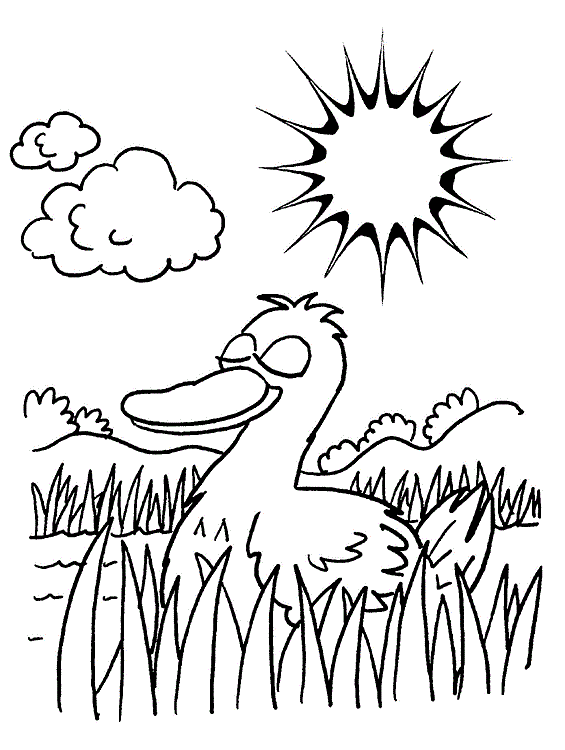Cute duck relaxing in the swamp under the sunshine Coloring Pages