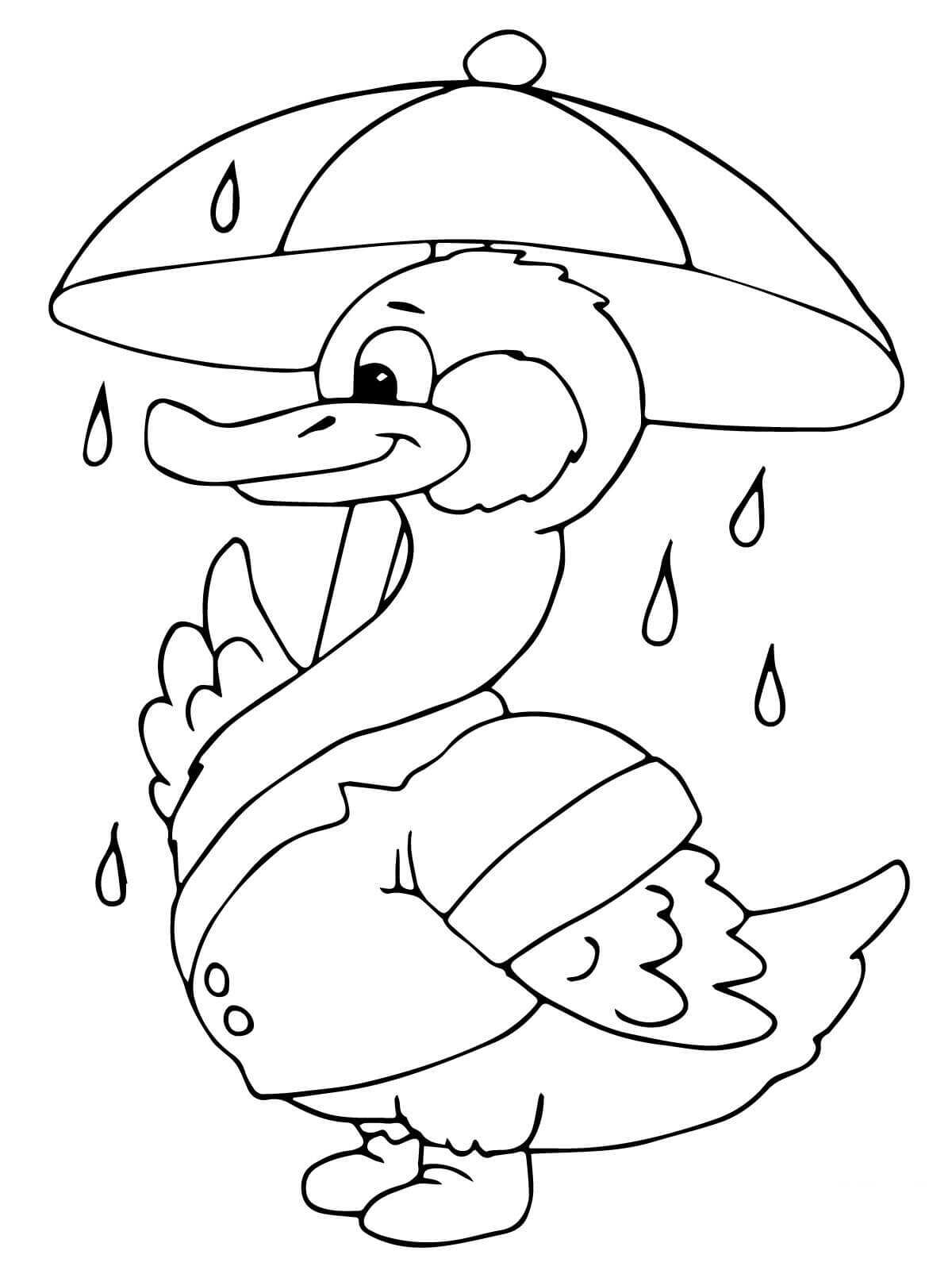 Eend met paraplu onder de regen van Ducks