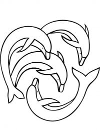 Four dolphins performing acrobatic circle Coloring Pages