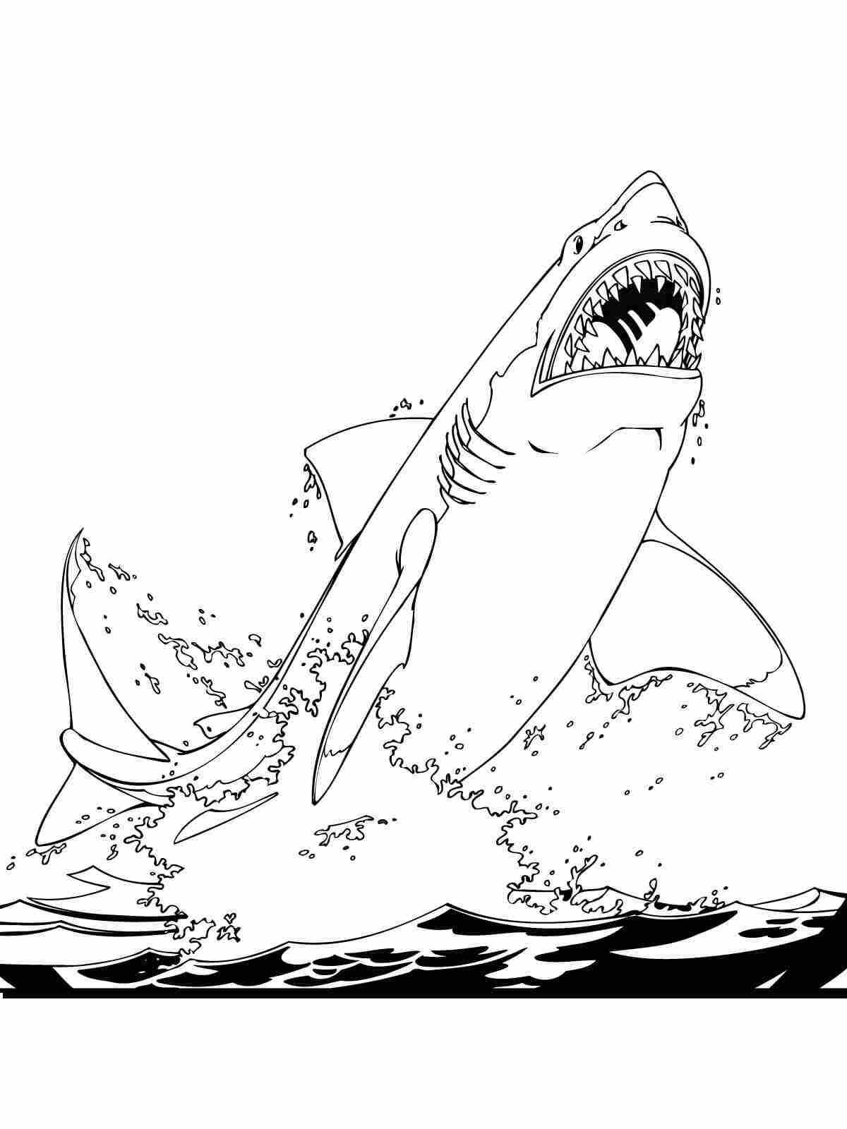 Der große weiße Hai springt aus dem Wasser zum Ausmalen