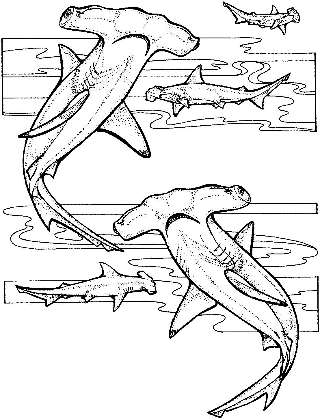 Hammerhead Sharks Prepare To Hunt Under The Ocean Coloring Pages