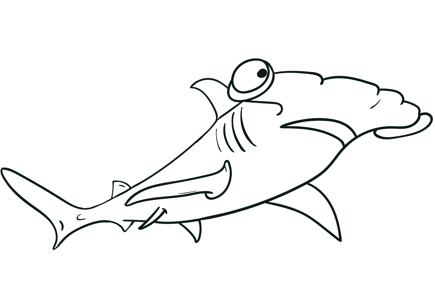 El tonto tiburón martillo tiene grandes ojos redondos de Shark