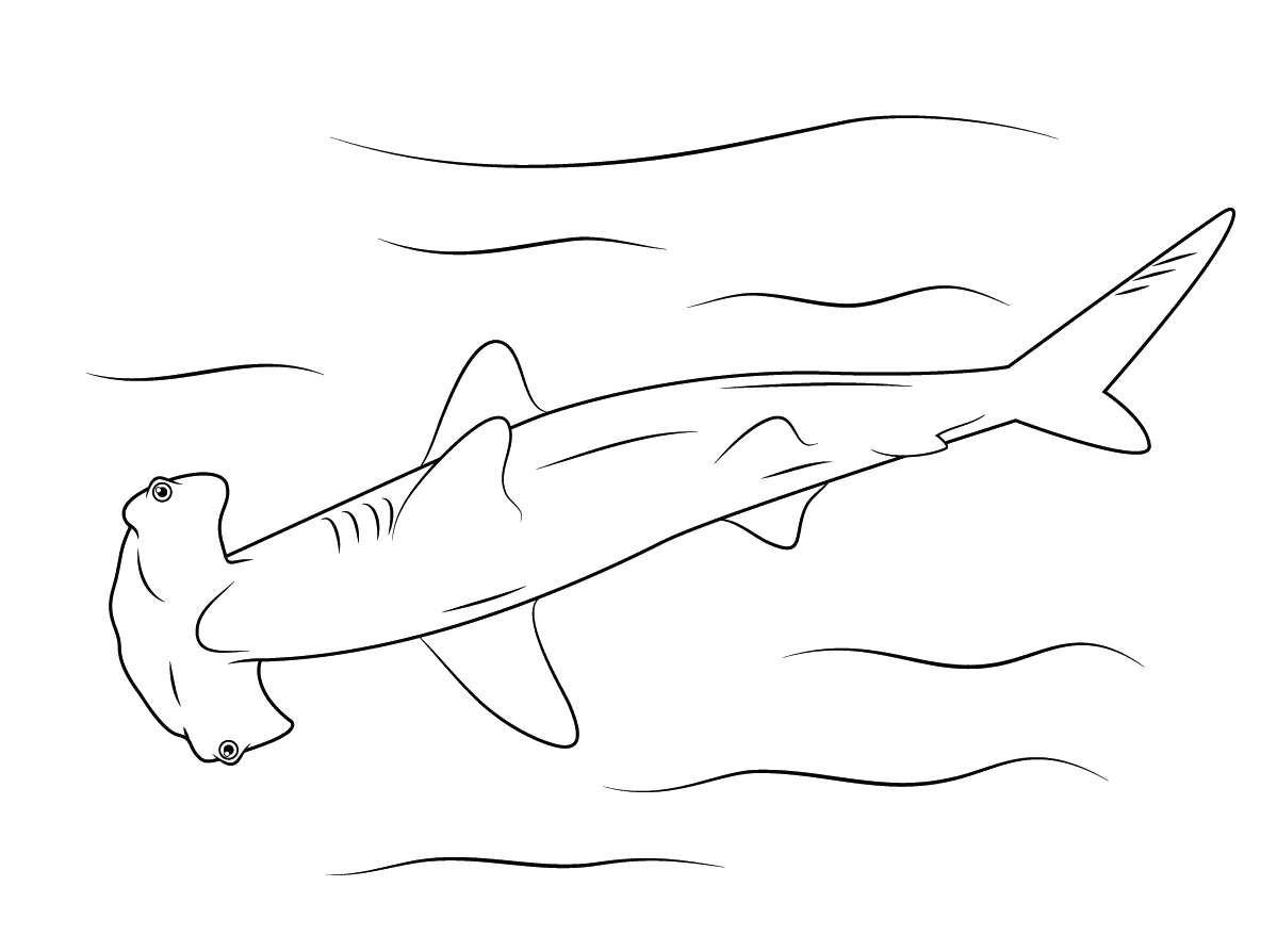 Hammerhead shark use its hammer-shaped head to detect and eat prey Coloring Pages