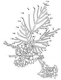 Connect the dots to discover the Kudzu Coloring Pages