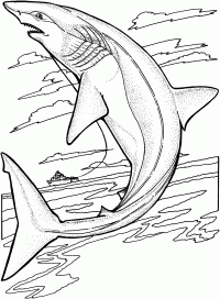 Dibujo de Tiburón limón salta fuera del agua para colorear