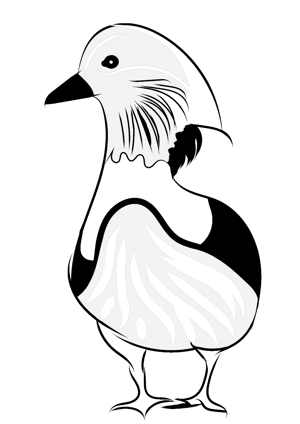 Mandarin duck has distinctive long feathers on the side of the face Coloring Page
