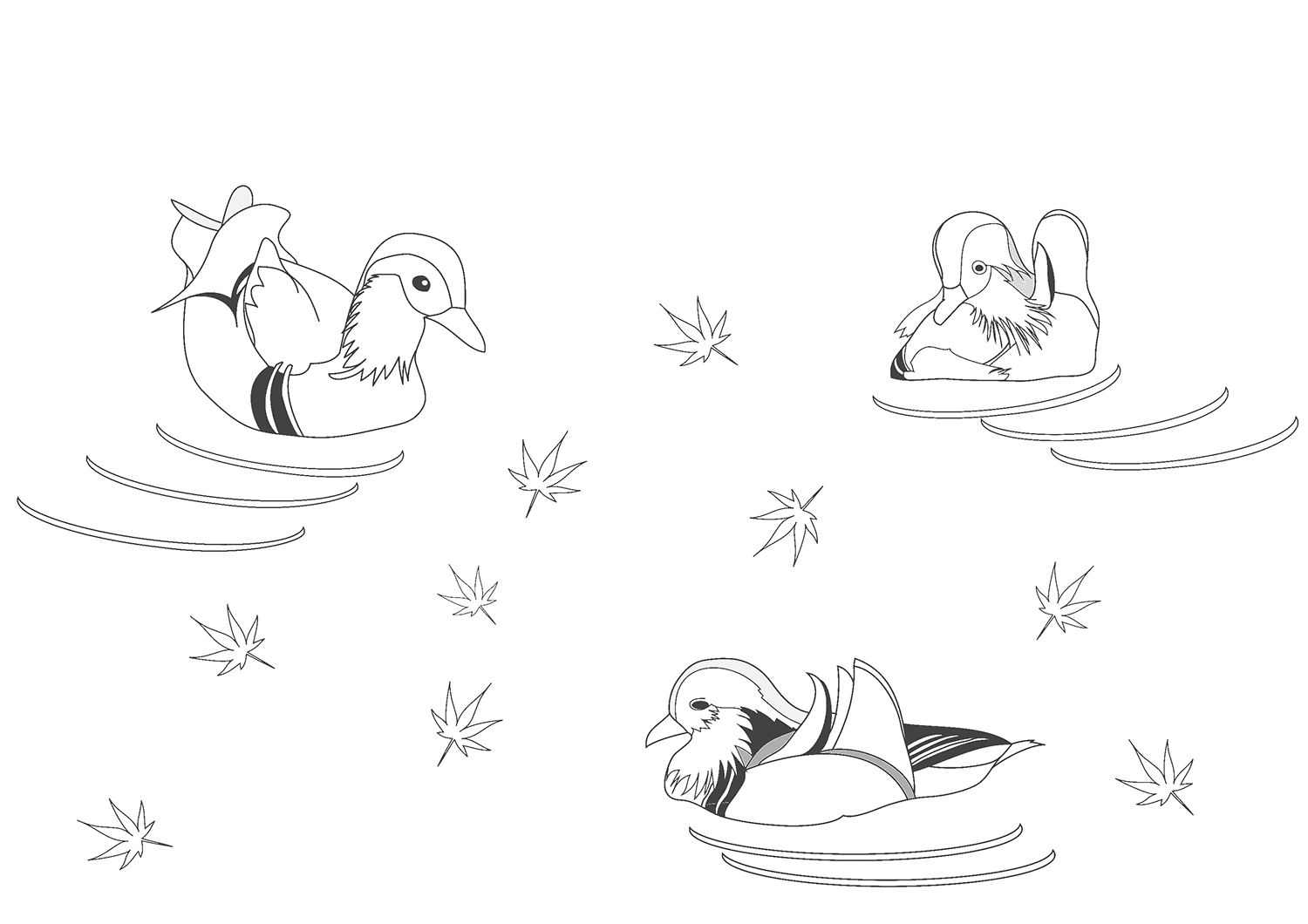Male Mandarin ducks swimming in the maple leaves day Coloring Pages