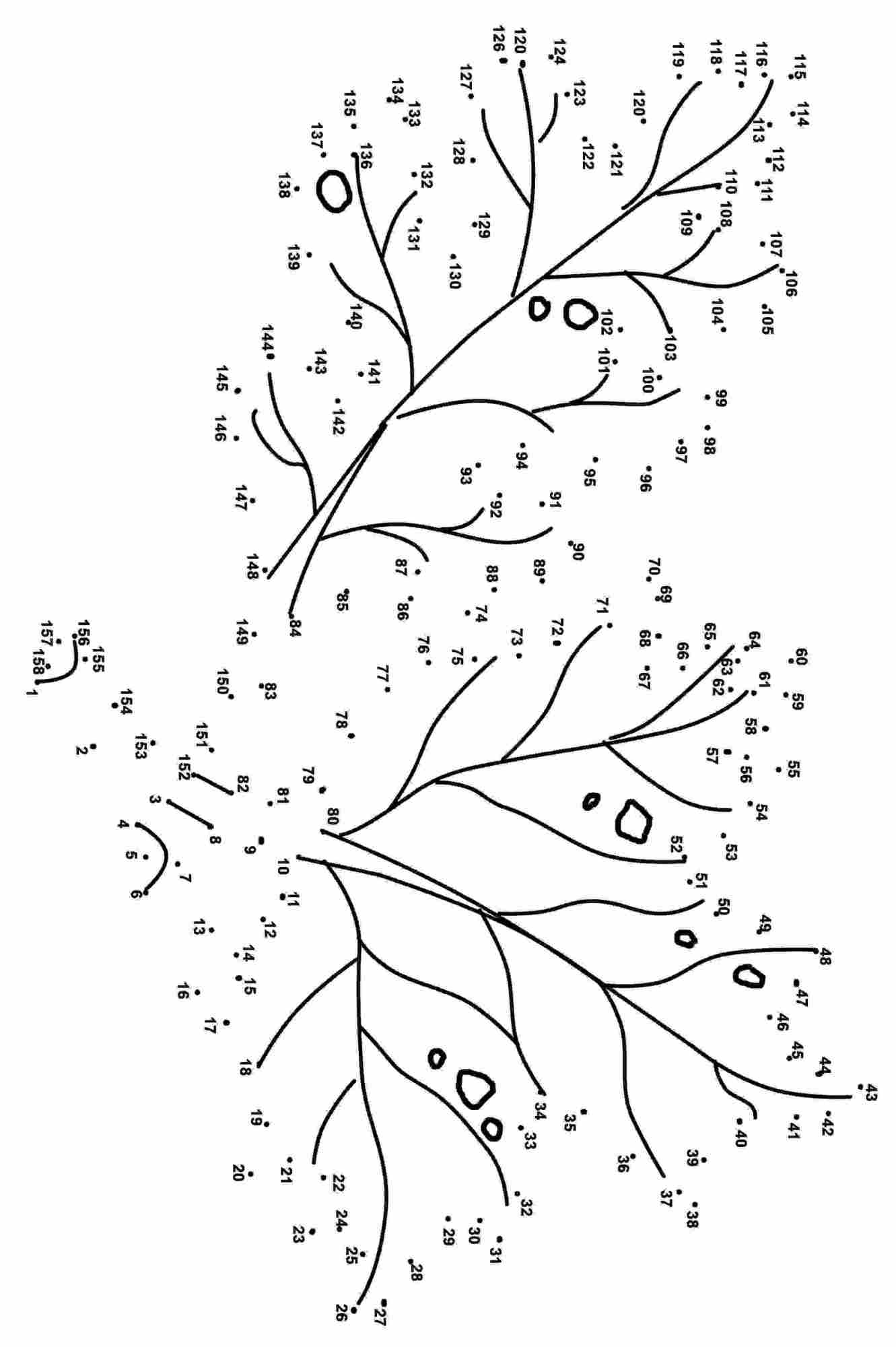 Les feuilles d'érable se connectent aux points de Connect the dots