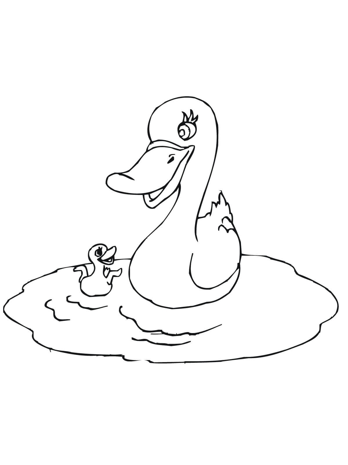 Mother duck with baby play in the pond Coloring Page