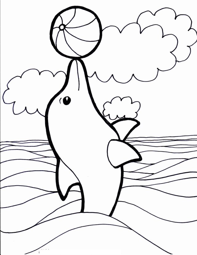 The dolphin plays with ball in the cloud day Coloring Page