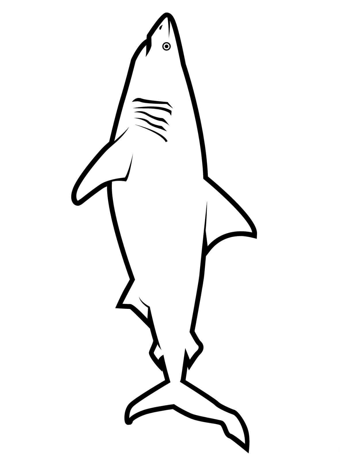 Realistische grote witte haai omtrek eenvoudig voor kinderen Kleurplaat