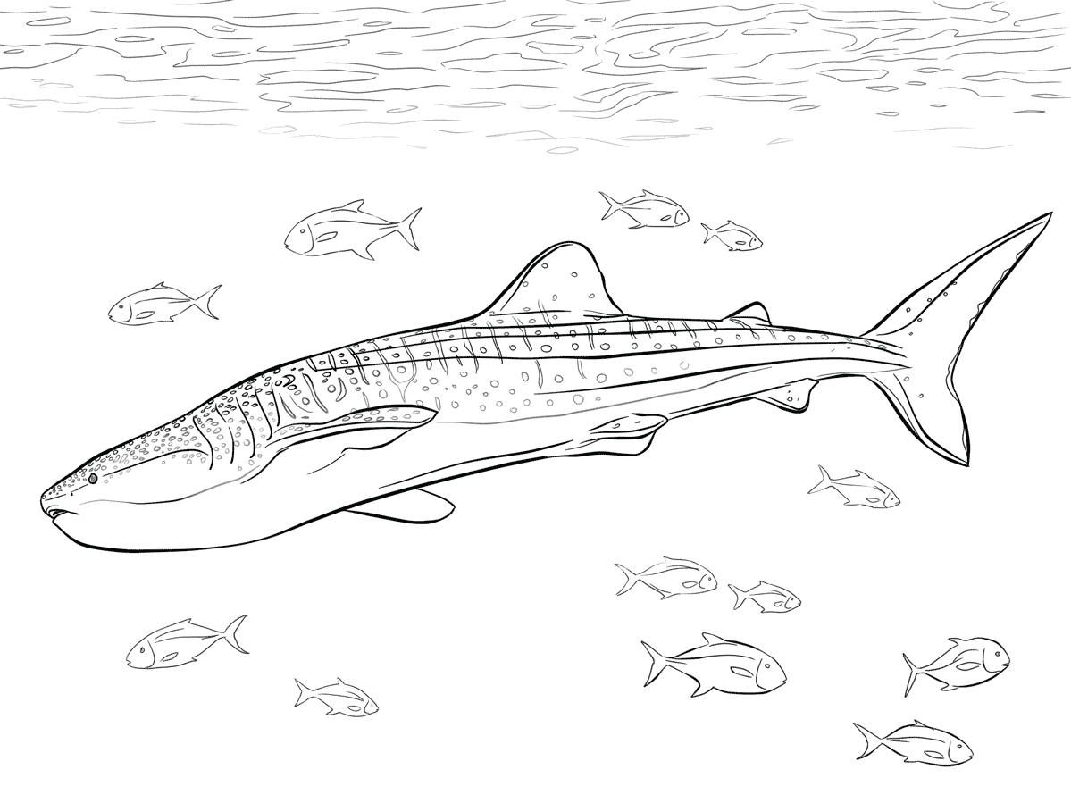 Realistic whale shark with pilot fishes under the oceans Coloring Page