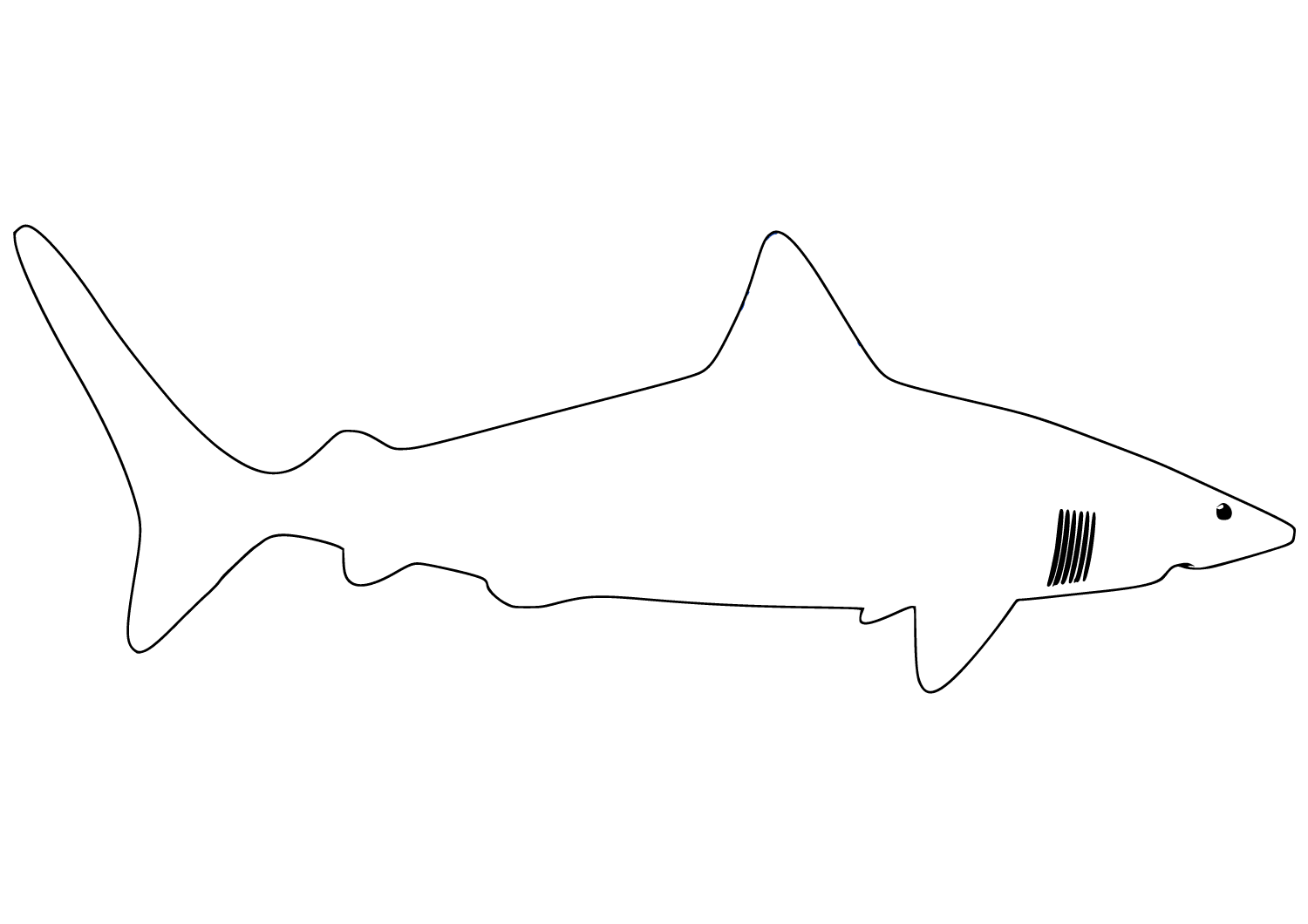 Haai omtrek tekenen voor kleuters Kleurplaat