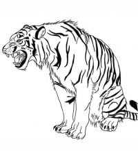 Snarling tiger with full black stripes Coloring Page