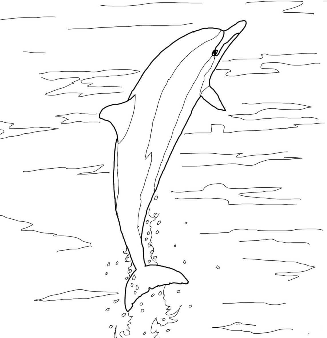 De spinner dolfijn toont acrobatische shows boven het wateroppervlak Kleurplaat