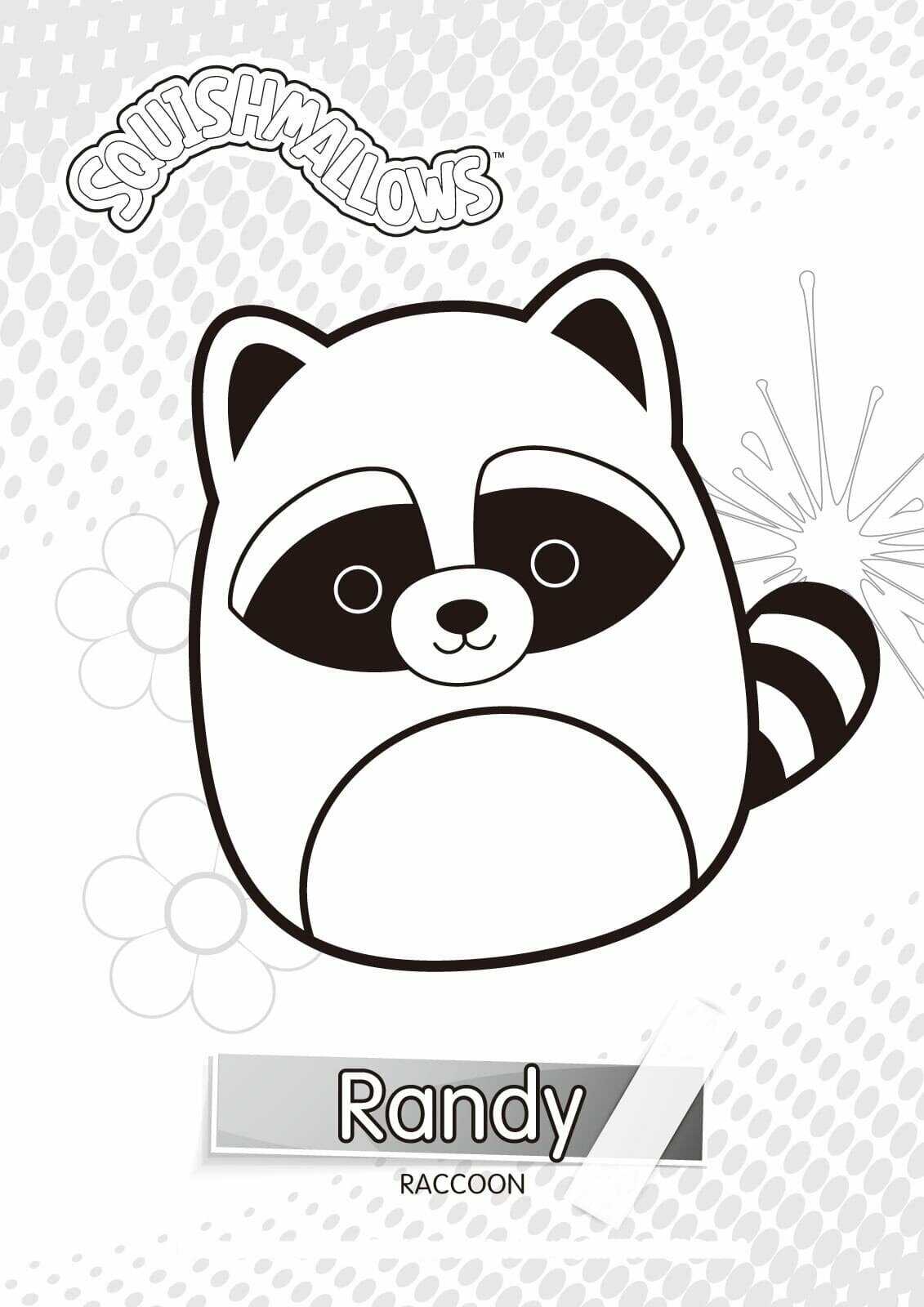 Randy the raccoon with black markings around his eyes from Squishmallow