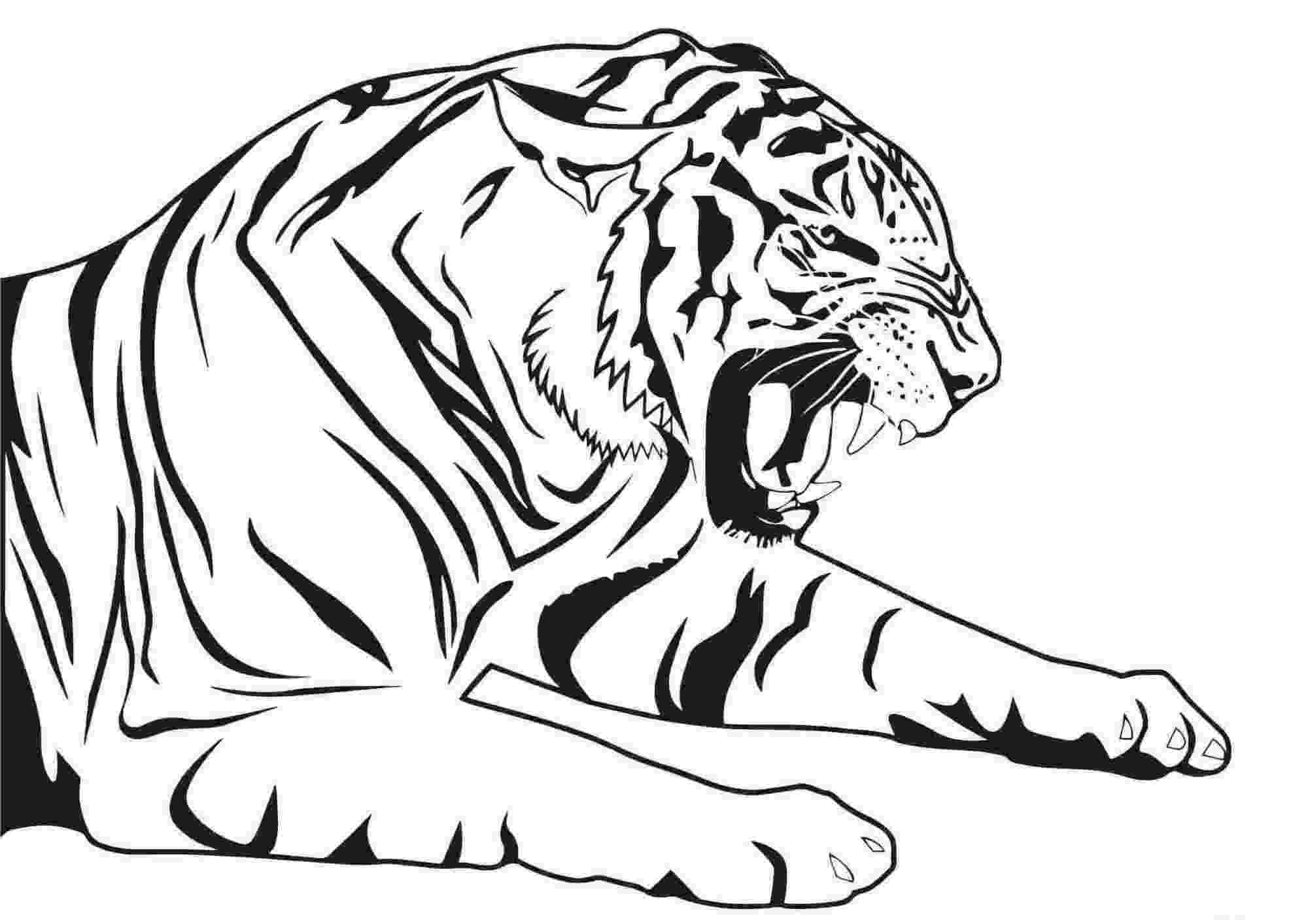 Тигр лежит и рычит в лесу от Тигра