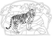 The startled gaze of tiger on the cliff Coloring Pages