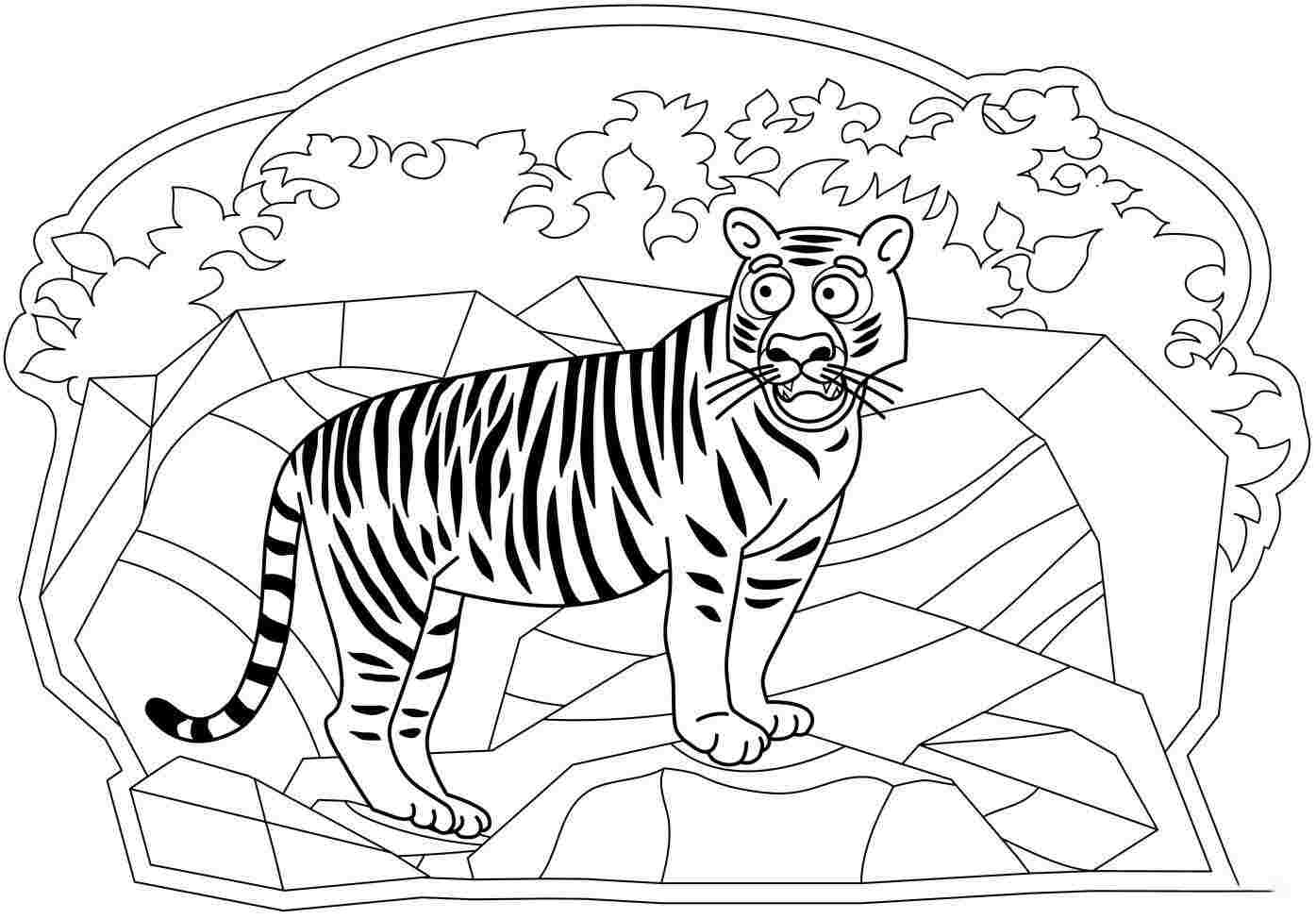 Der erschrockene Blick des Tigers auf die Klippe von Tiger